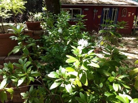 17125 Villa Ln, Dobbins, CA 95935 photo 19