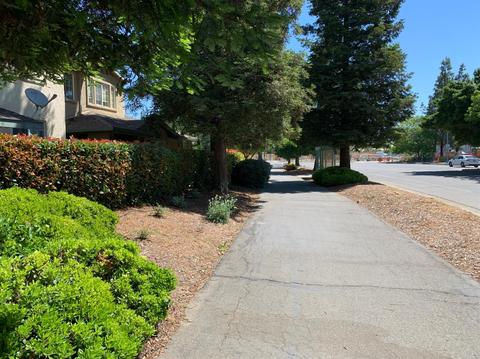 2031 5th St, Davis, CA 95618 photo 14