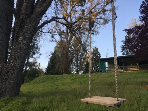 4821 Old Emigrant East Trl, Mountain Ranch, CA 95246 photo 22