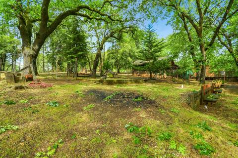 11064 Quail Dr, Pine Grove, CA 95665 photo 39