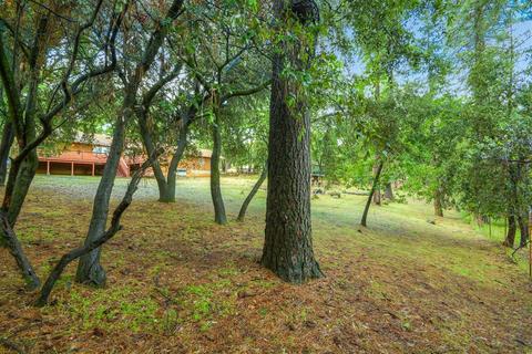 11064 Quail Dr, Pine Grove, CA 95665 photo 37