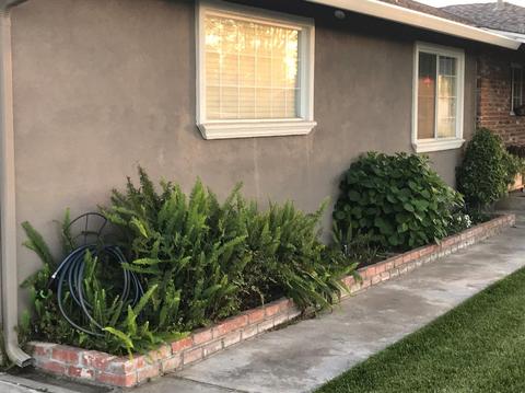 1600 Mount Vernon Dr, Modesto, CA 95350 photo 4
