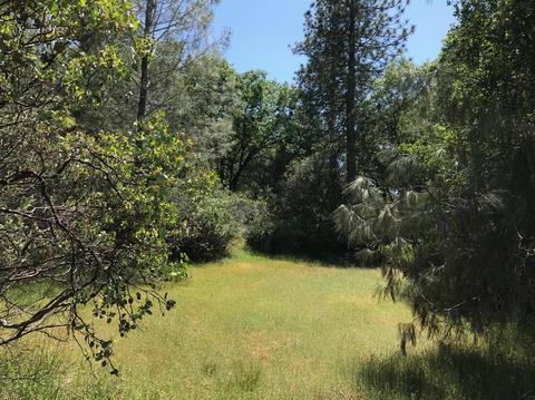 4690 Sand Ridge Rd, Placerville, CA 95667 photo 25