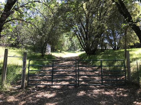 4690 Sand Ridge Rd, Placerville, CA 95667 photo 12