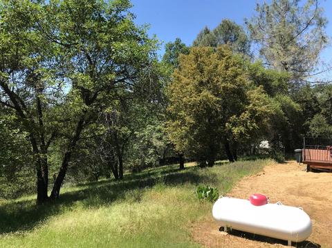 4690 Sand Ridge Rd, Placerville, CA 95667 photo 23