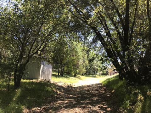 4690 Sand Ridge Rd, Placerville, CA 95667 photo 13