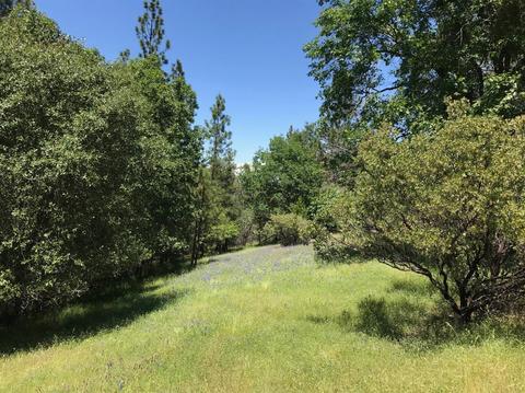 4690 Sand Ridge Rd, Placerville, CA 95667 photo 24