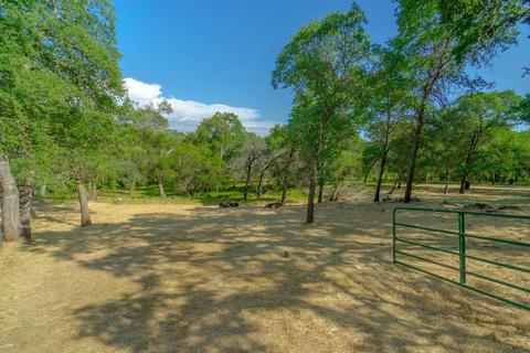 1723 Dormity Rd, Rescue, CA 95672 photo 47