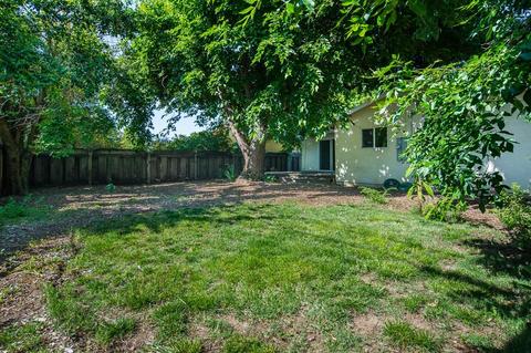 1410 Spruce Ln, Davis, CA 95616 photo 14