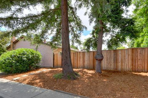 305 Encina Ave, Davis, CA 95616 photo 33