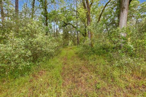 3321 Bird Haven Loop, Cool, CA 95614 photo 31