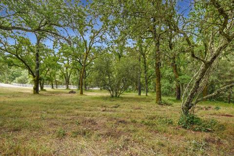 3321 Bird Haven Loop, Cool, CA 95614 photo 36
