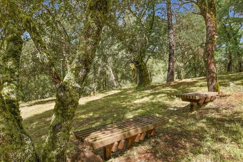 3321 Bird Haven Loop, Cool, CA 95614 photo 34