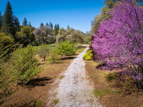 19890 Meadowood Dr, Jackson, CA 95642 photo 3