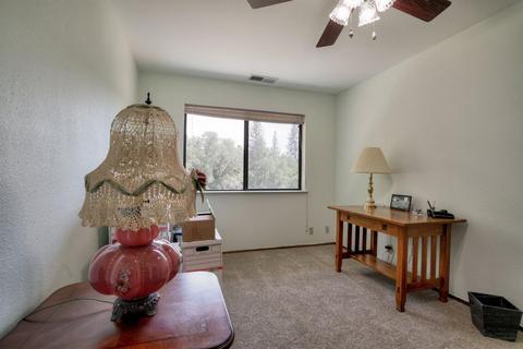 995 Bridgeview Dr, Placerville, CA 95667 photo 18