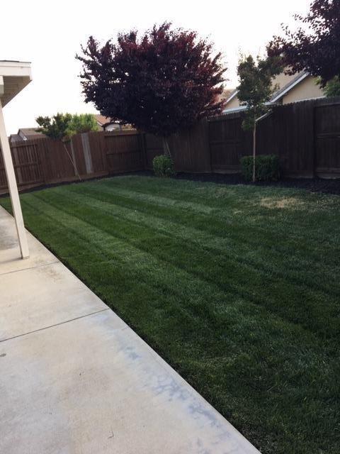 1485 Sereno Dr, Manteca, CA 95337 photo 29