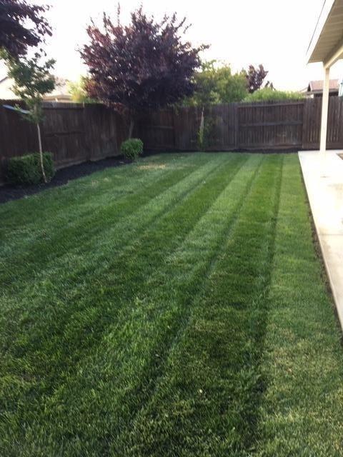 1485 Sereno Dr, Manteca, CA 95337 photo 26