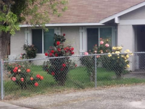 3209 Doris Ct, Modesto, CA 95354 photo 4