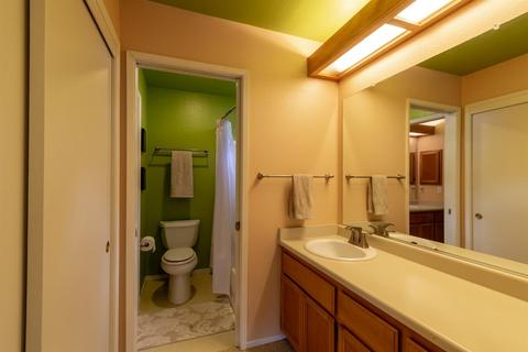 904 La Coruno St, Davis, CA 95618 photo 22