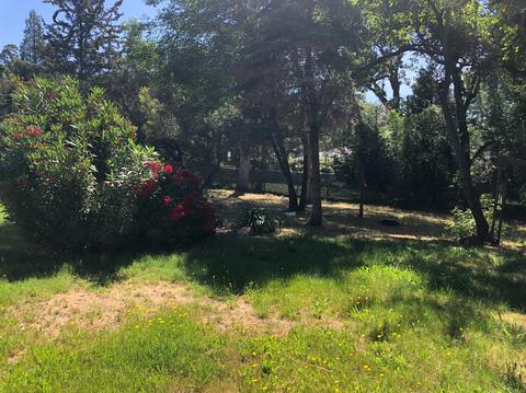 6696 Long Ave, Placerville, CA 95667 photo 41
