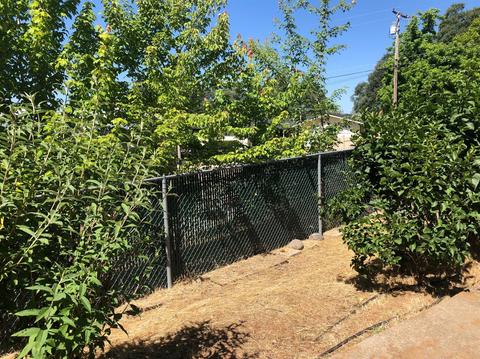 6696 Long Ave, Placerville, CA 95667 photo 52