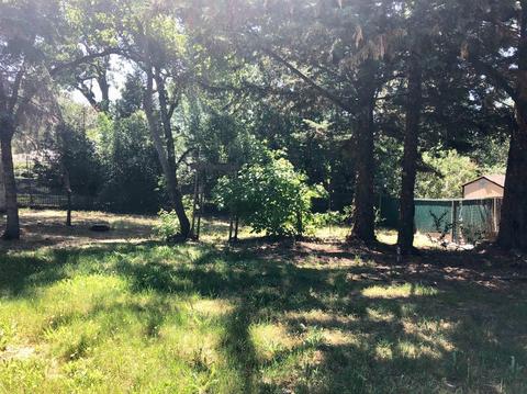 6696 Long Ave, Placerville, CA 95667 photo 40