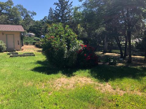6696 Long Ave, Placerville, CA 95667 photo 42