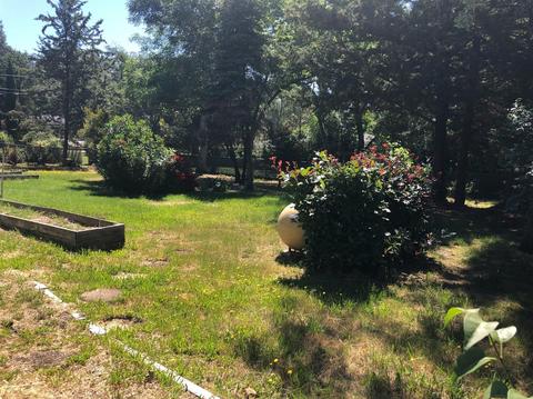 6696 Long Ave, Placerville, CA 95667 photo 48