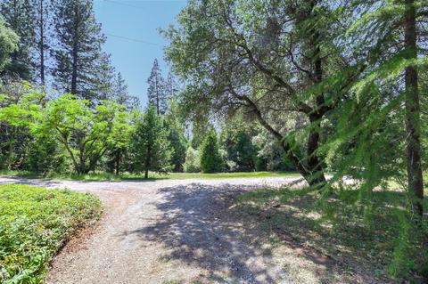 7031 Mosquito Rd, Placerville, CA 95667 photo 30