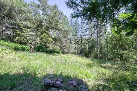 7031 Mosquito Rd, Placerville, CA 95667 photo 31