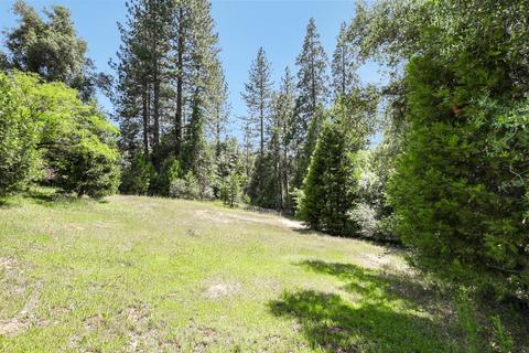 7031 Mosquito Rd, Placerville, CA 95667 photo 27