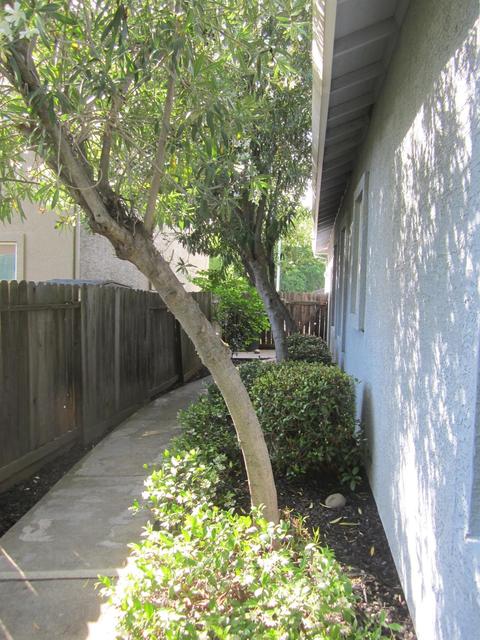 491 Muerer St, Folsom, CA 95630 photo 24