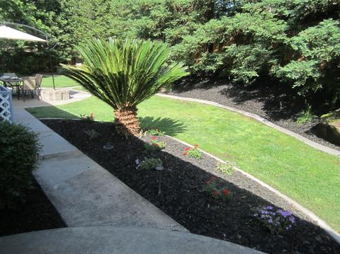 491 Muerer St, Folsom, CA 95630 photo 26
