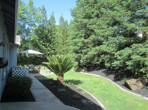 491 Muerer St, Folsom, CA 95630 photo 25