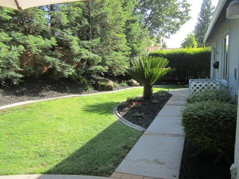 491 Muerer St, Folsom, CA 95630 photo 23