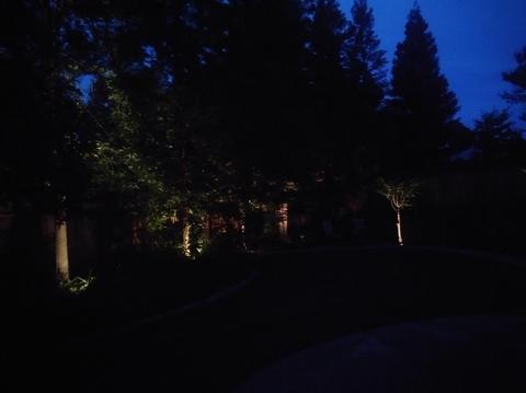 491 Muerer St, Folsom, CA 95630 photo 31