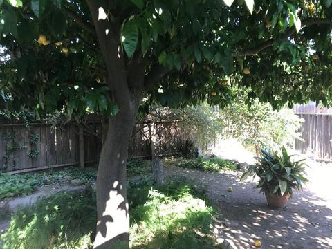 875 N Johnson Rd, Turlock, CA 95380 photo 23