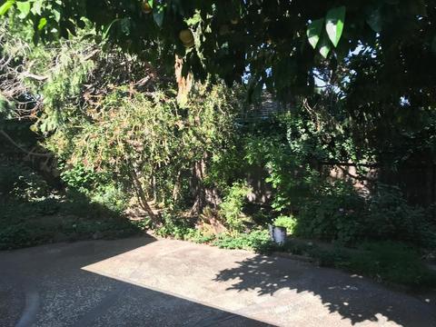 875 N Johnson Rd, Turlock, CA 95380 photo 25