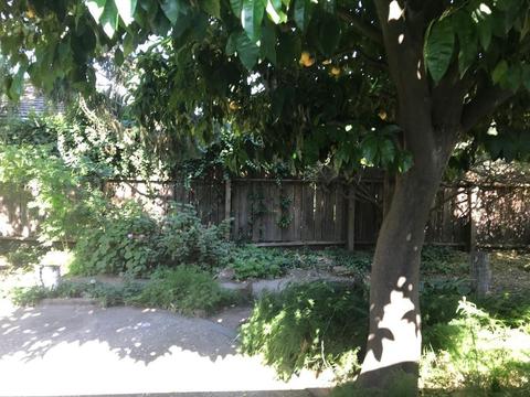 875 N Johnson Rd, Turlock, CA 95380 photo 24