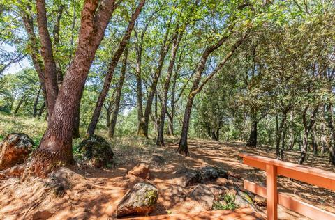 1051 Pinecroft Rd, Colfax, CA 95713 photo 12