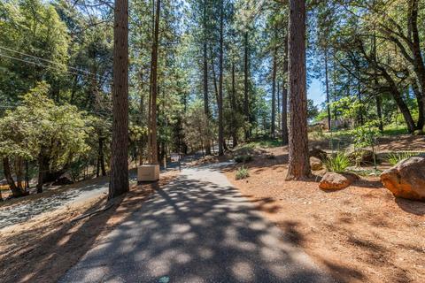 1051 Pinecroft Rd, Colfax, CA 95713 photo 6