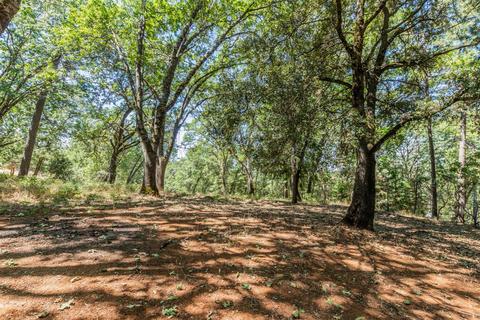 1051 Pinecroft Rd, Colfax, CA 95713 photo 15