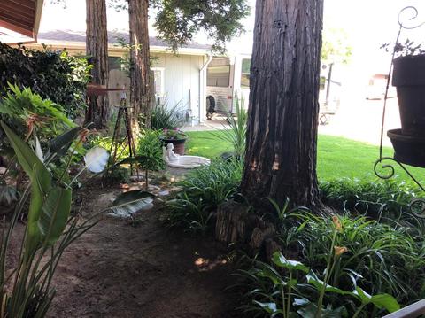 558 E Grove Ave, Atwater, CA 95301 photo 10