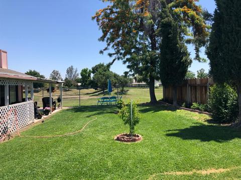 558 E Grove Ave, Atwater, CA 95301 photo 28