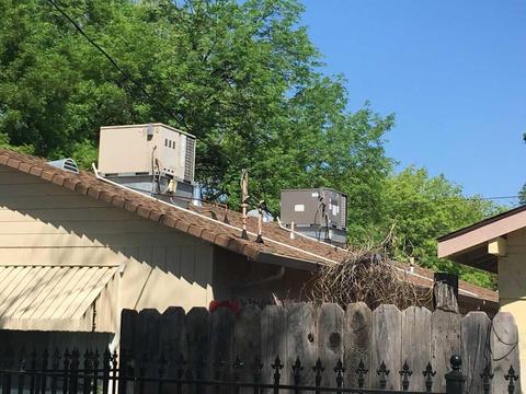 1605 E Walnut St, Stockton, CA 95205 photo 7
