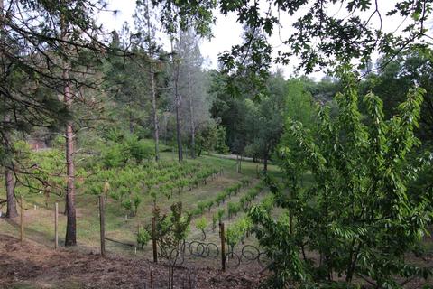 1220 Pinecroft Rd, Colfax, CA 95713 photo 17