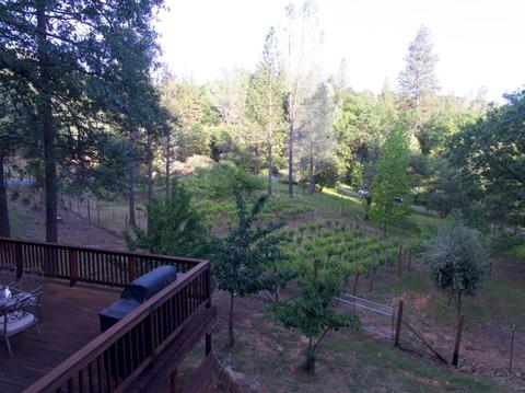 1220 Pinecroft Rd, Colfax, CA 95713 photo 11