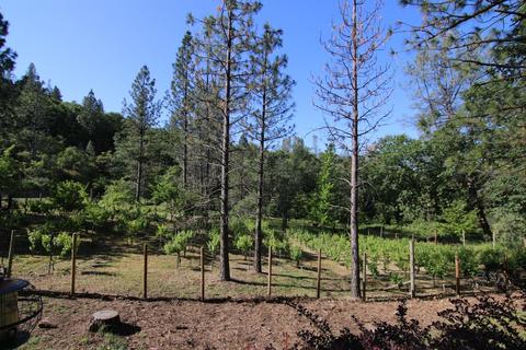1220 Pinecroft Rd, Colfax, CA 95713 photo 2