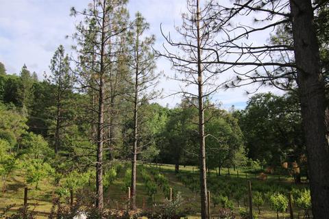 1220 Pinecroft Rd, Colfax, CA 95713 photo 15