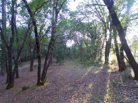 1220 Pinecroft Rd, Colfax, CA 95713 photo 57